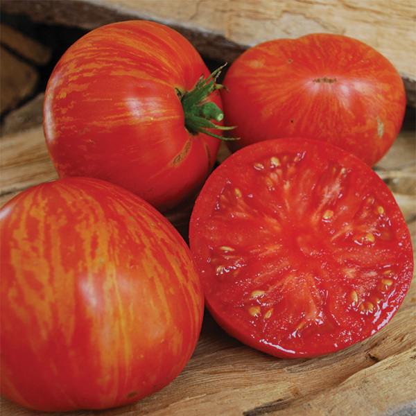 Details about   Solar Flare Tomato Seeds Sweet Organic Beefsteak Red Striped Fruit USA 