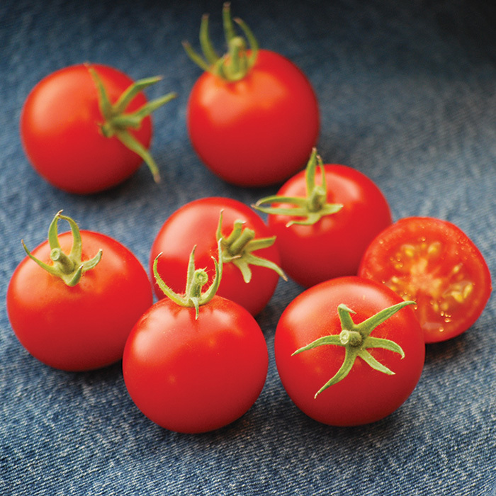 Medium-Small Tomato