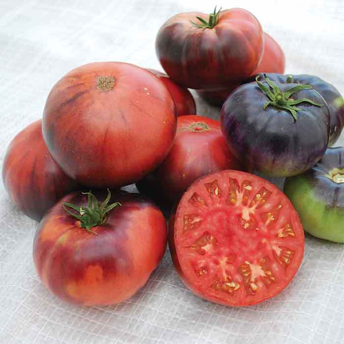 Blue Tomatoes